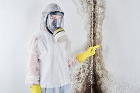 Why You Should Choose Our Mold Remediation Services in Alto, TX